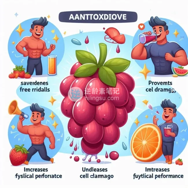 如何科学增加体能?适合日常的训练方法有哪些?插图 如何科学增加体能?适合日常的训练方法有哪些?插图